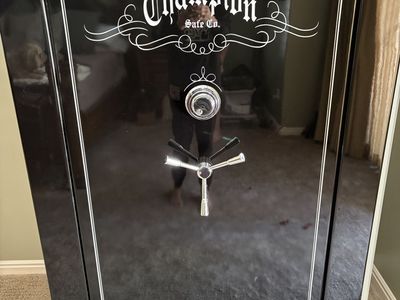 Double Wide Gun safe