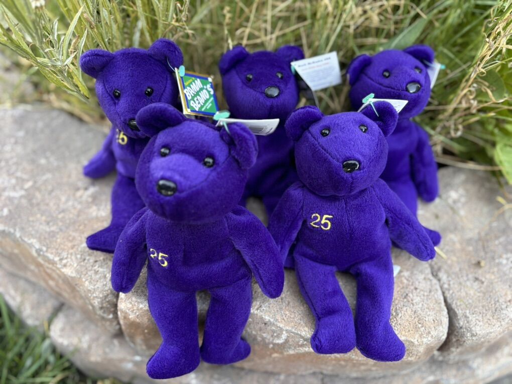 New Baseball Stuffed  Bears