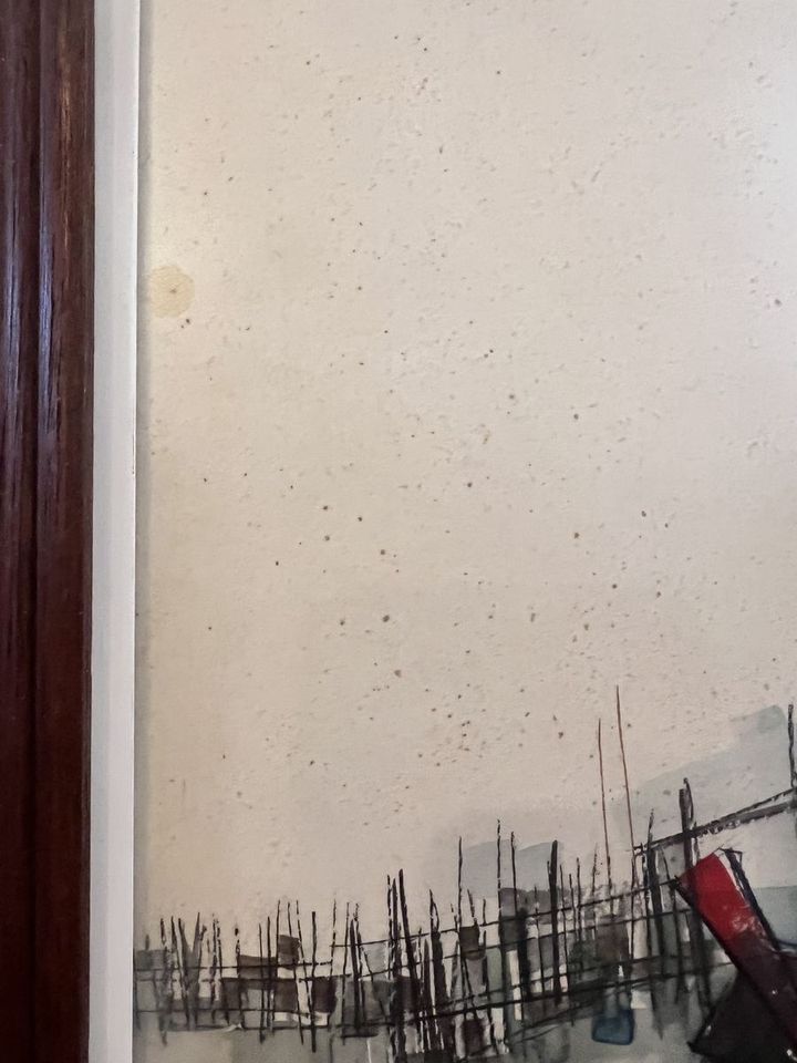 Main image 4