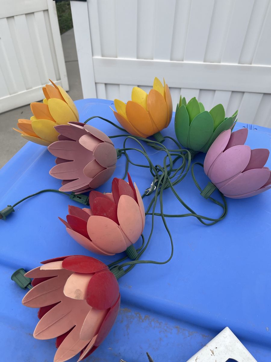 Vintage patio lights