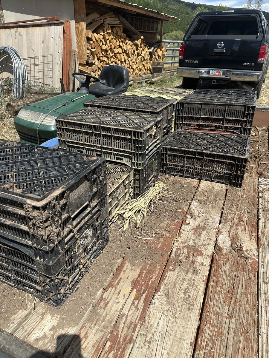 FREE Used Bulb Crates for Flower Bulbs, Tulips - Durable Plastic Storage Bins (Lot of 5)