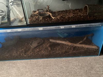 terrarium