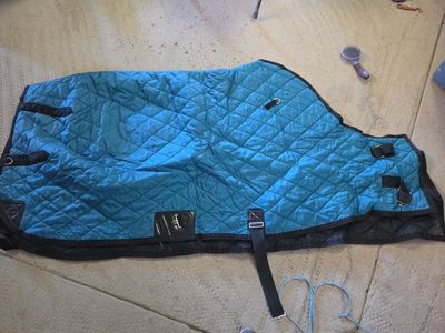 Quilted Horse Blanket / Stable Rug - Turquoise & Green Options