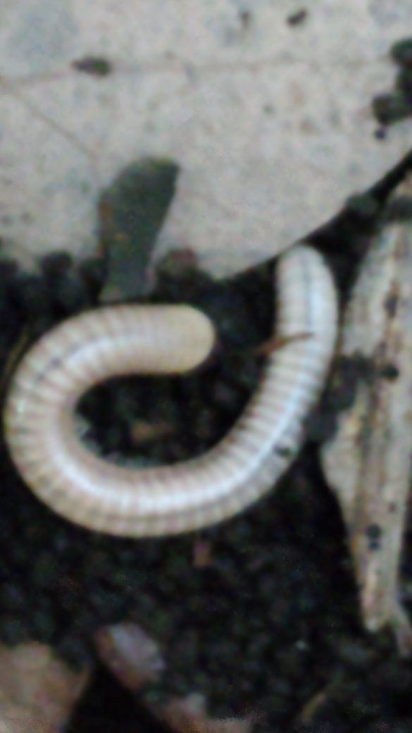 Main image 4