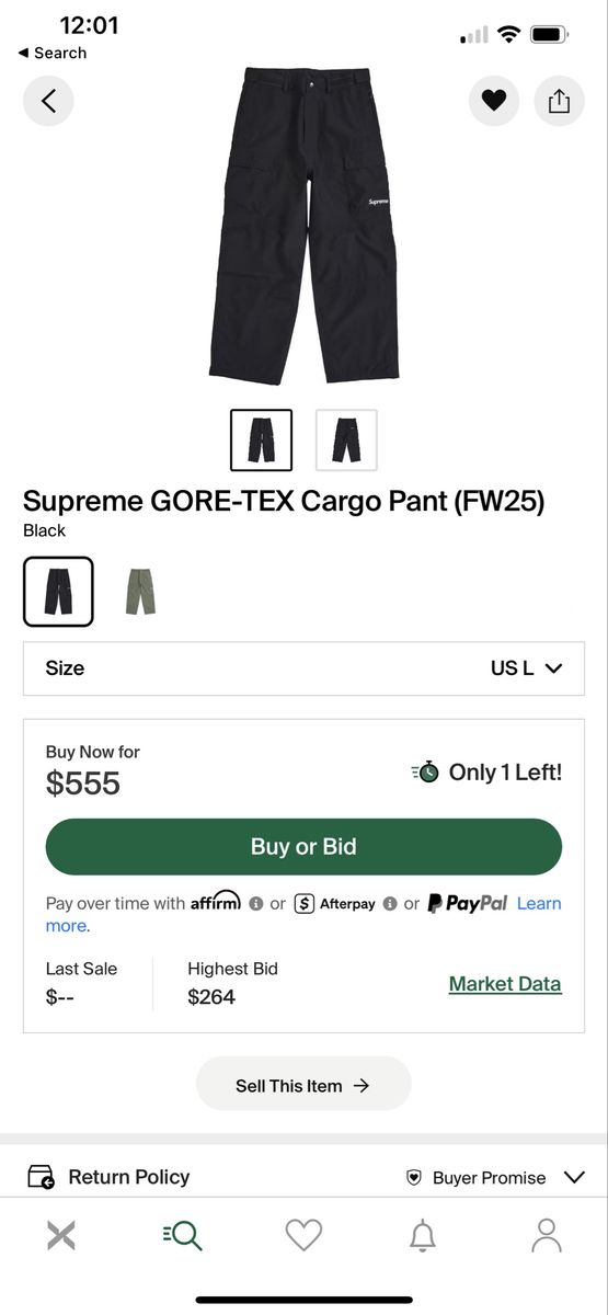 Supreme goretex cargo pants Large for snowboarding