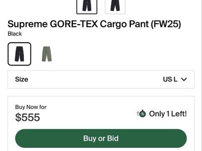 Supreme goretex cargo pants Large for snowboarding