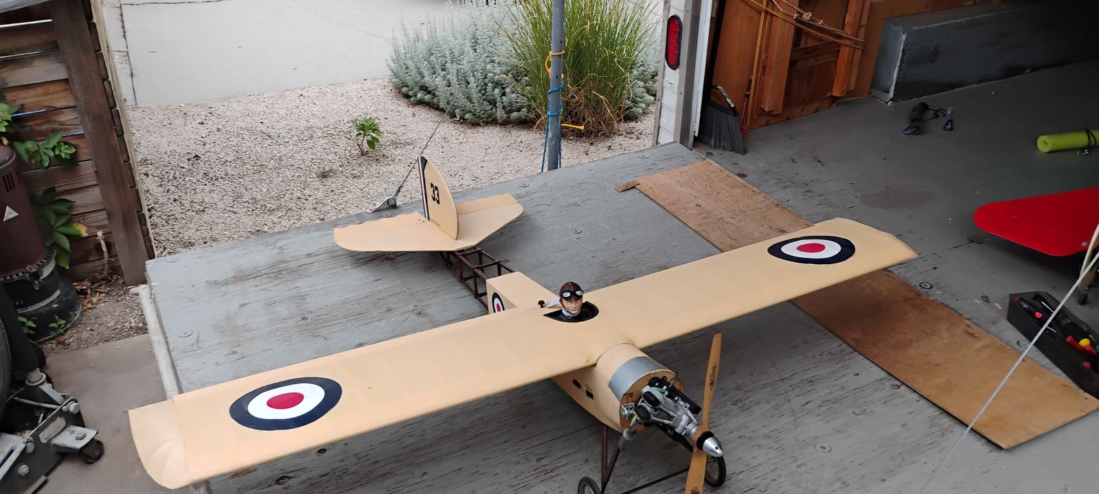 Elder RC model airplane 