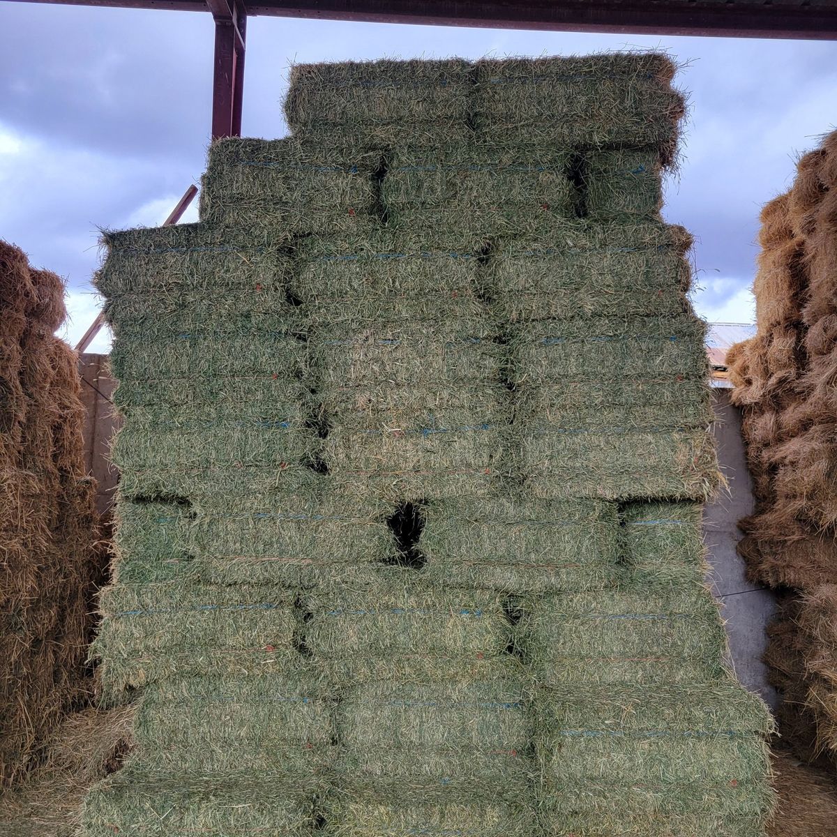 PREMIUM horse hay / Delivery services