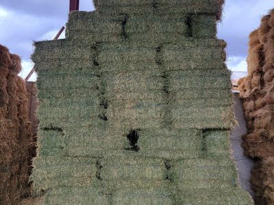PREMIUM horse hay / Delivery services