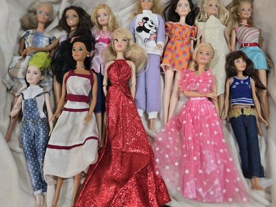 Barbies & Little Siblings Collection