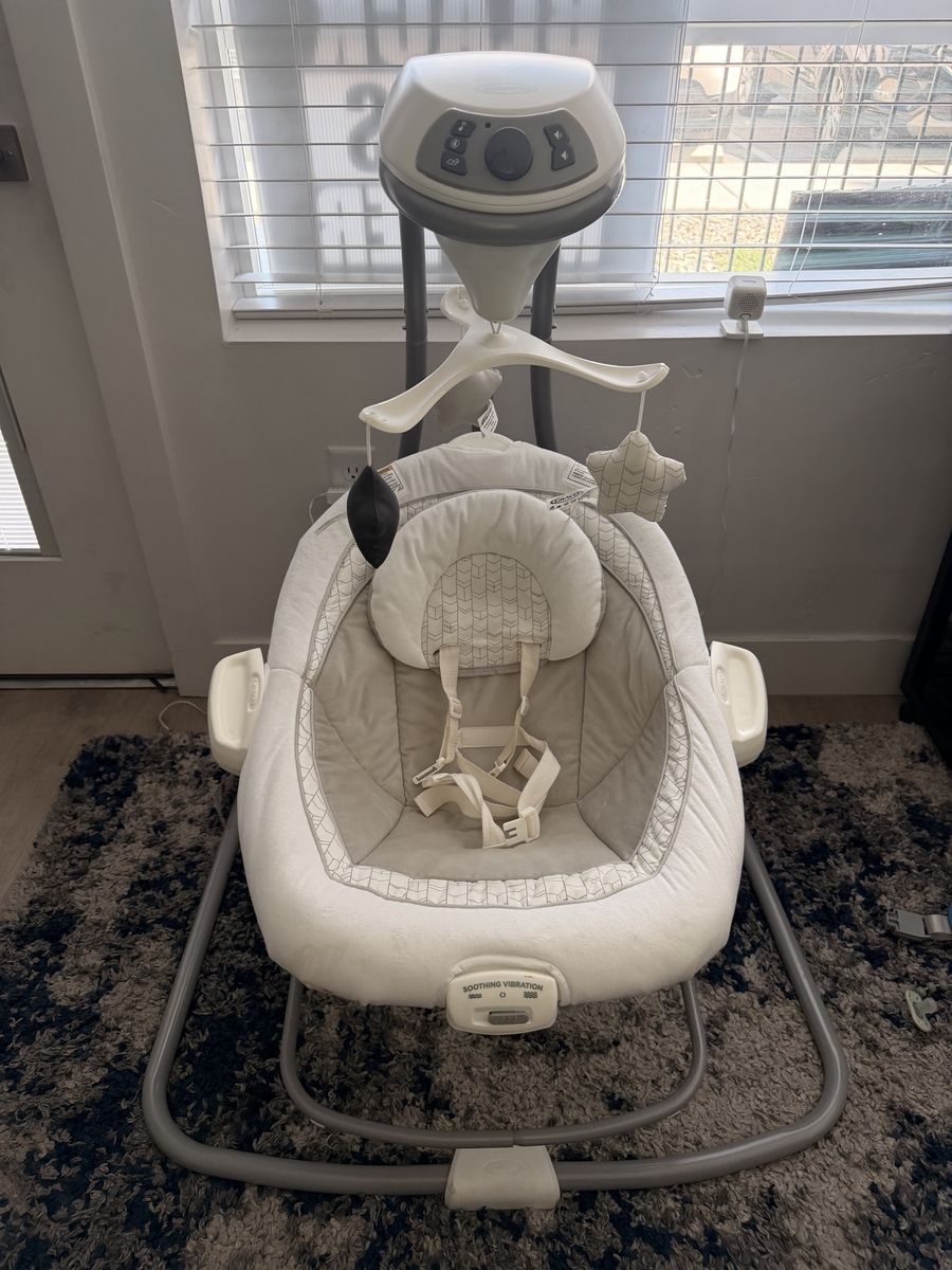 Graco Duo Baby Swing and Bouncer