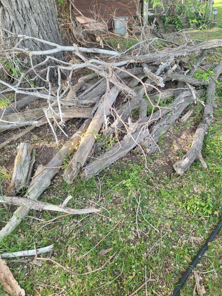 Free Firewood
