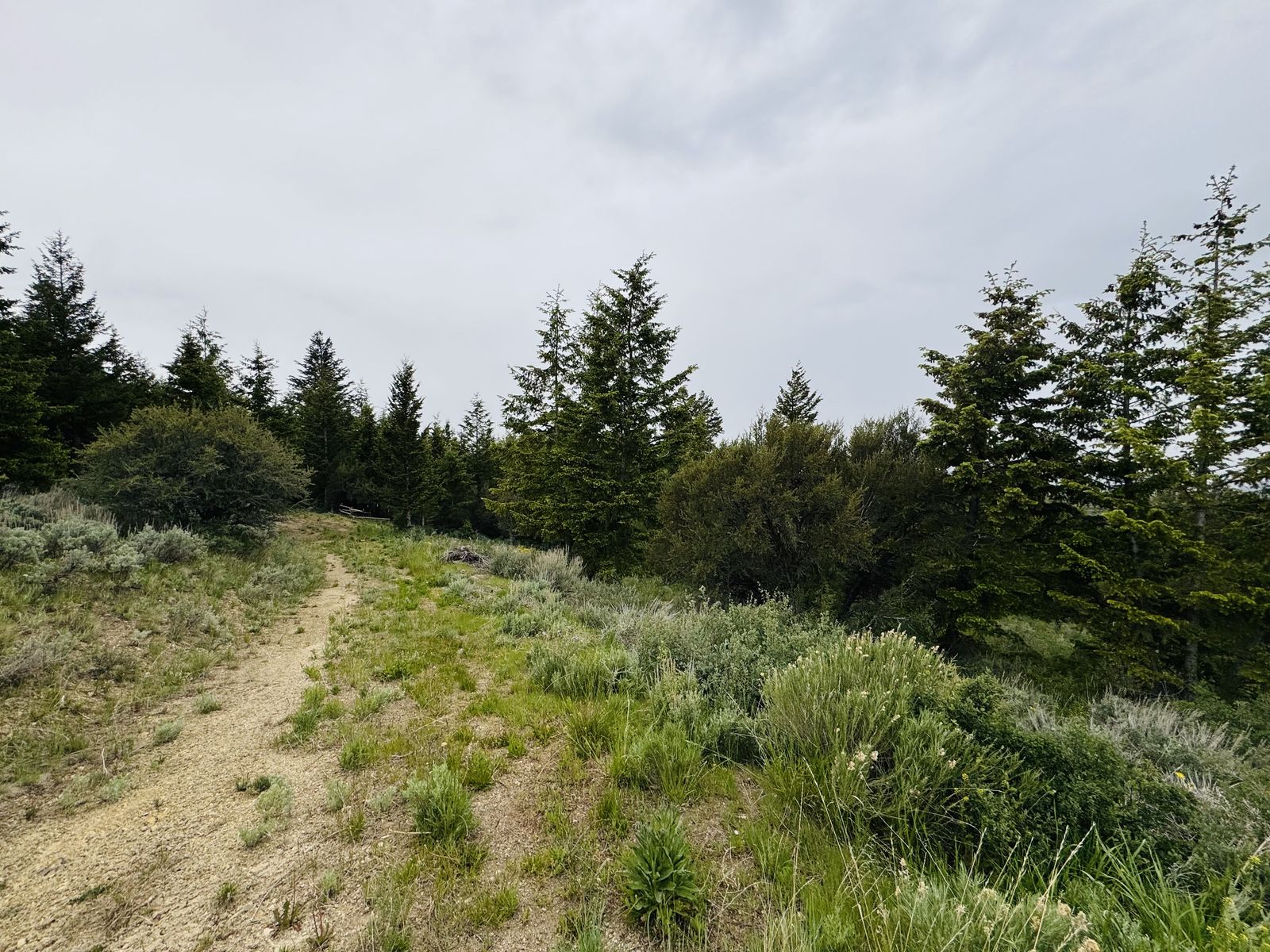 Main image 5
