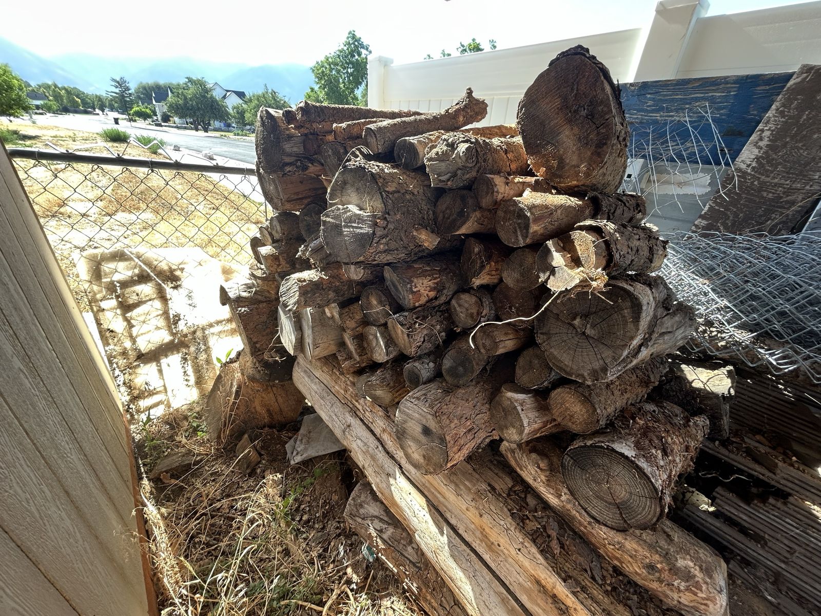 Free Dry Pine Firewood - Various Sizes for Campfires, Splitting, & Larger Logs/Pallets