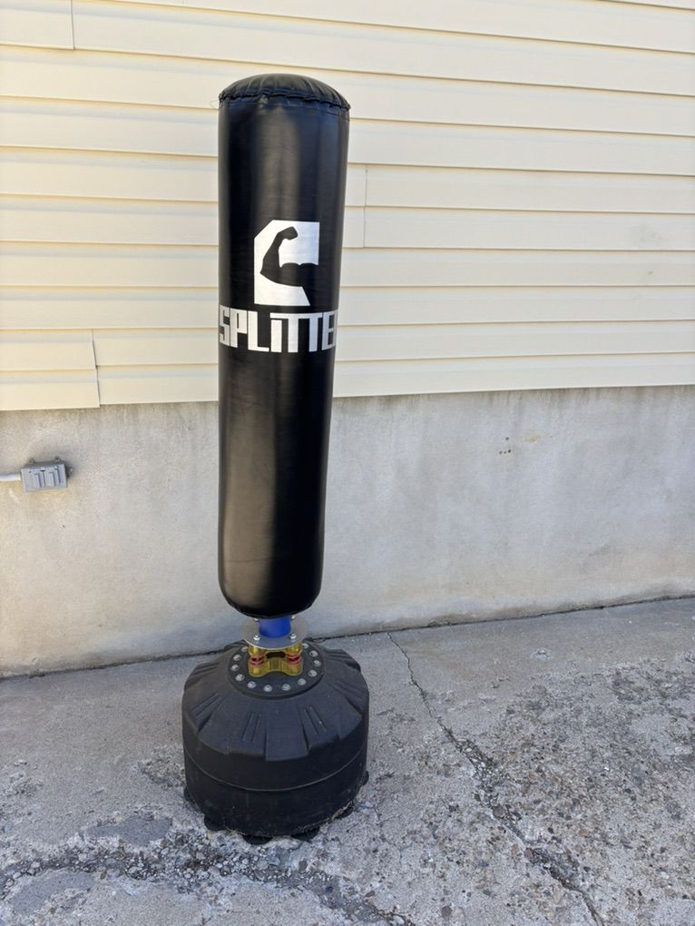 Punching / Kicking Bag