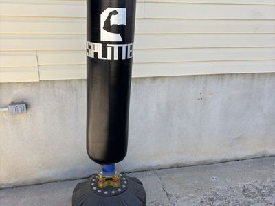 Punching / Kicking Bag