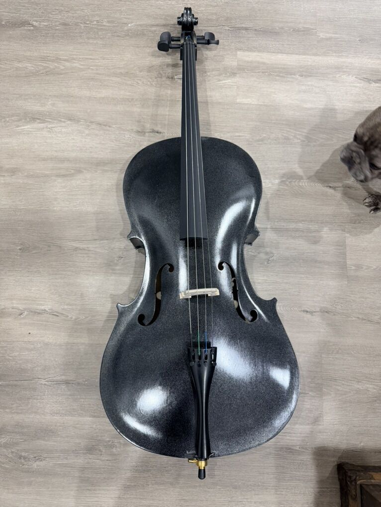 Brand New Fazio & Sons 4/4 Cello