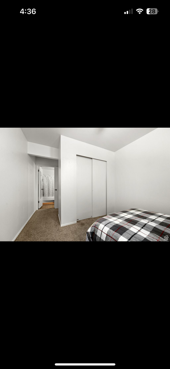 Main image 7