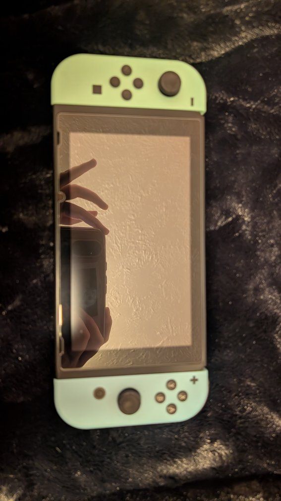 Animal Crossing New Horizons Nintendo Switch