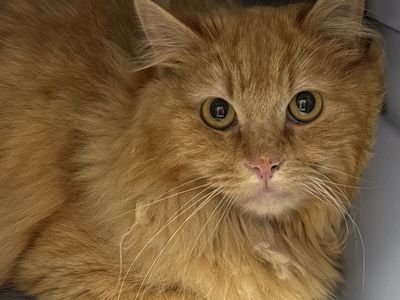 Hello my name is Philadelphia