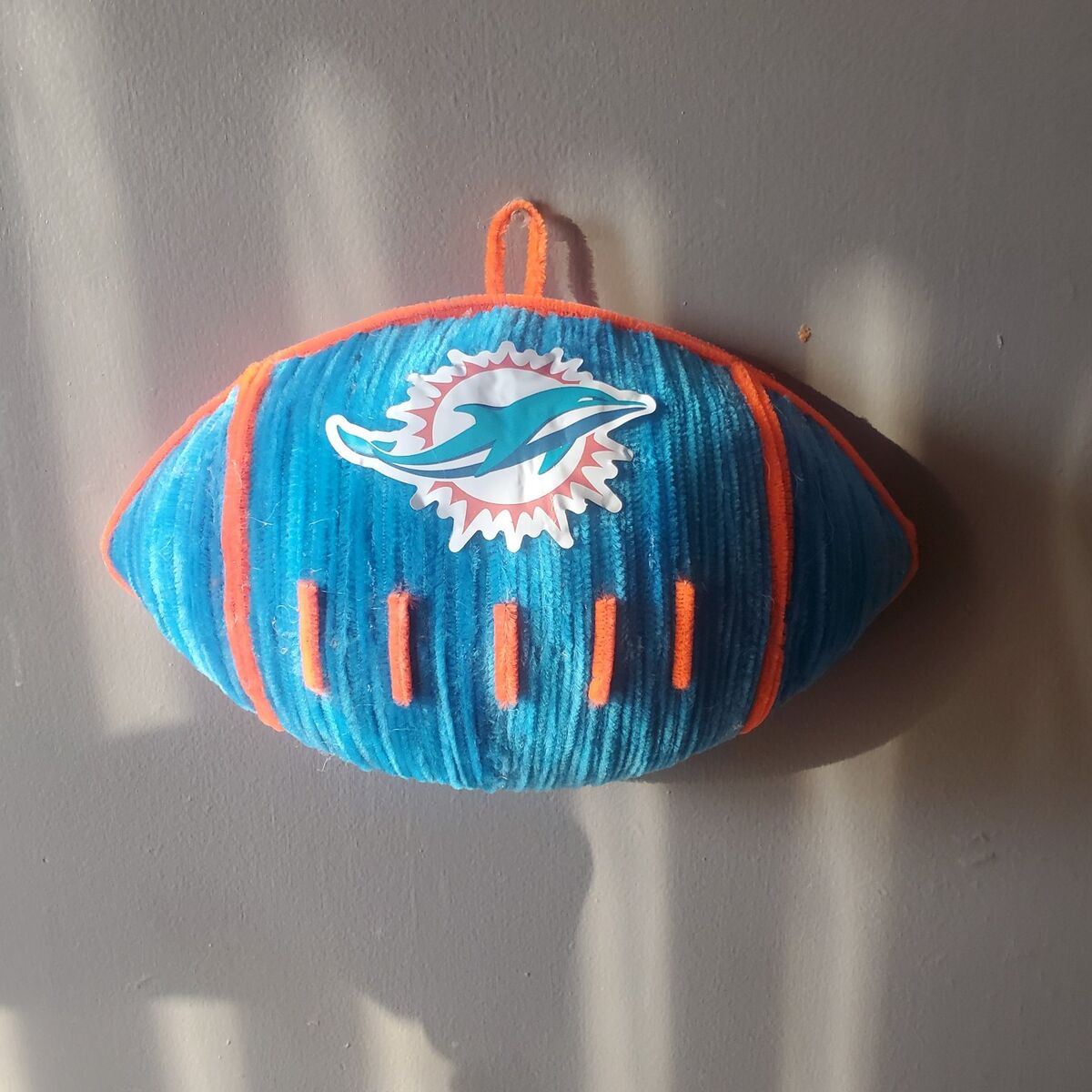 Dolphins football