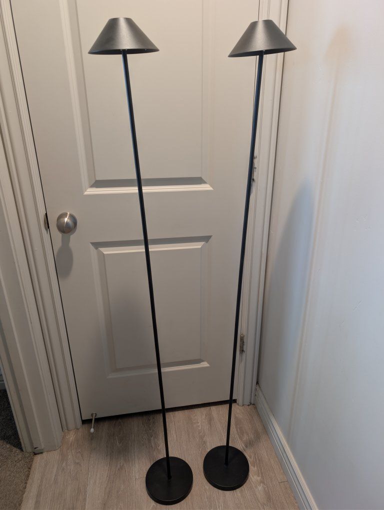 2 tall rechargable lamps