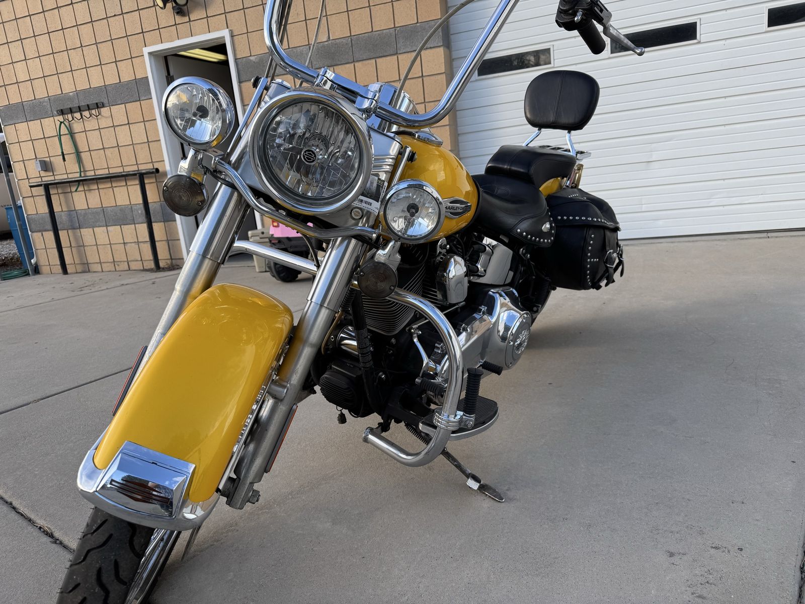 Harley Softail