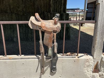 Zd saddle