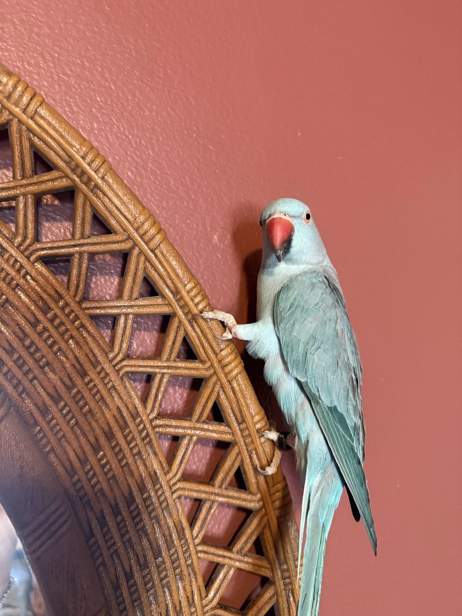 Main image 4