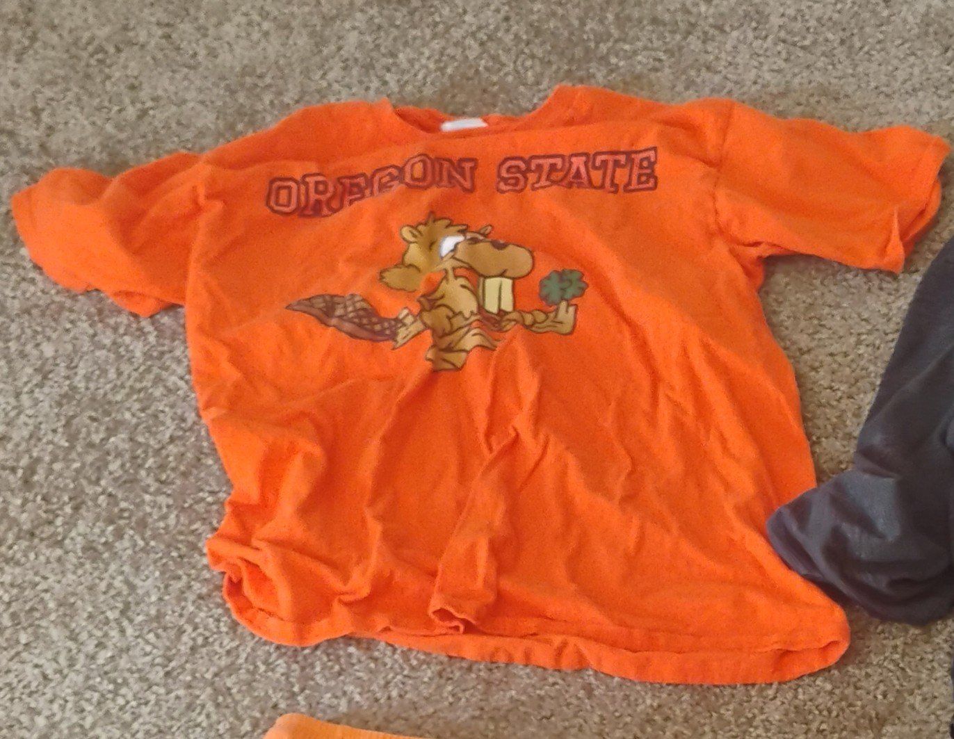 Oregon State Beavers Kids' Orange Short Sleeve Graphic T-Shirt