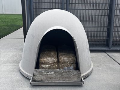 Extra Large Dogloo Dog House