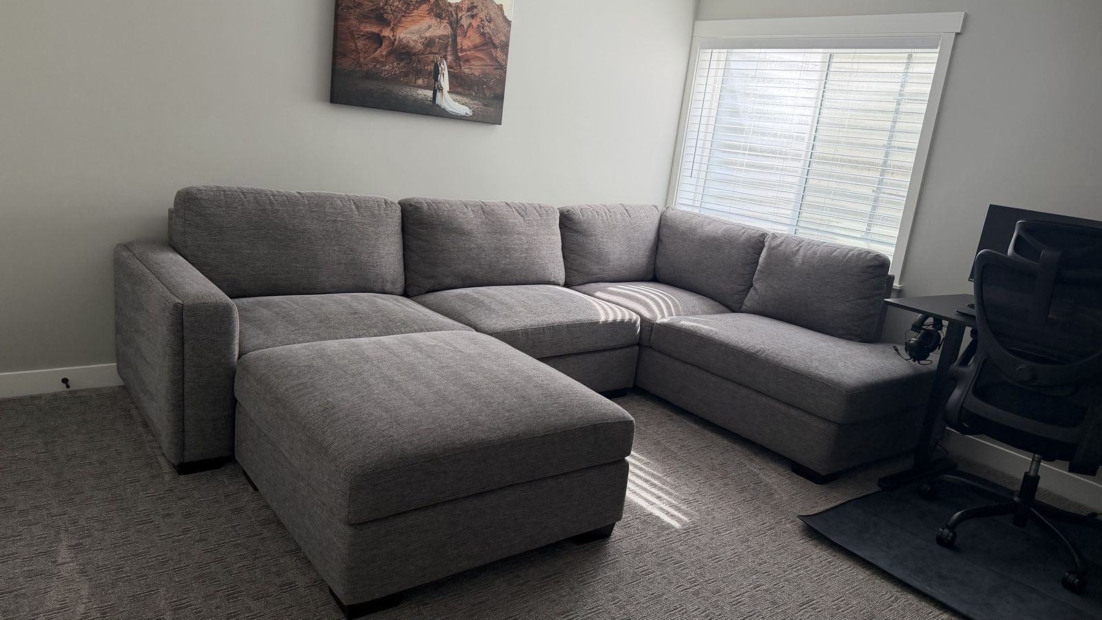 Gray Costco Couch