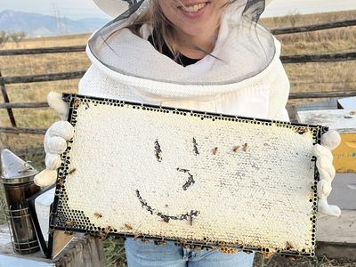 Spring 2026 Locally Sourced Honeybees- Nucs and Packages