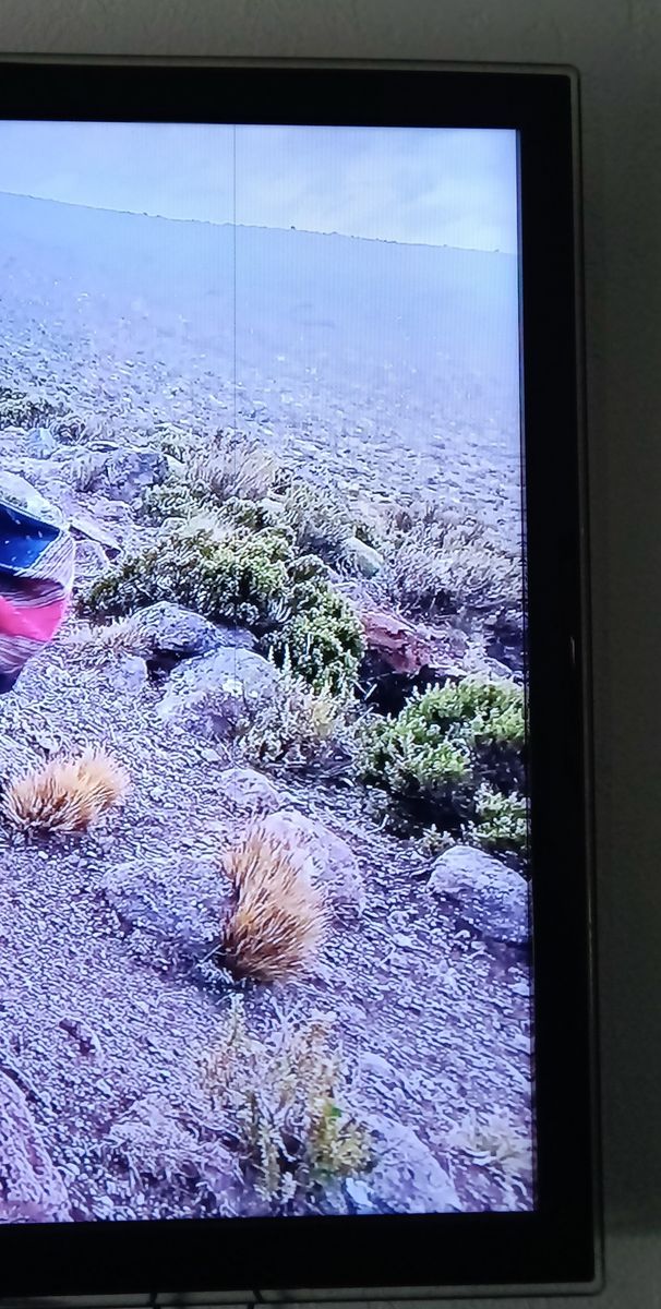 Main image 5