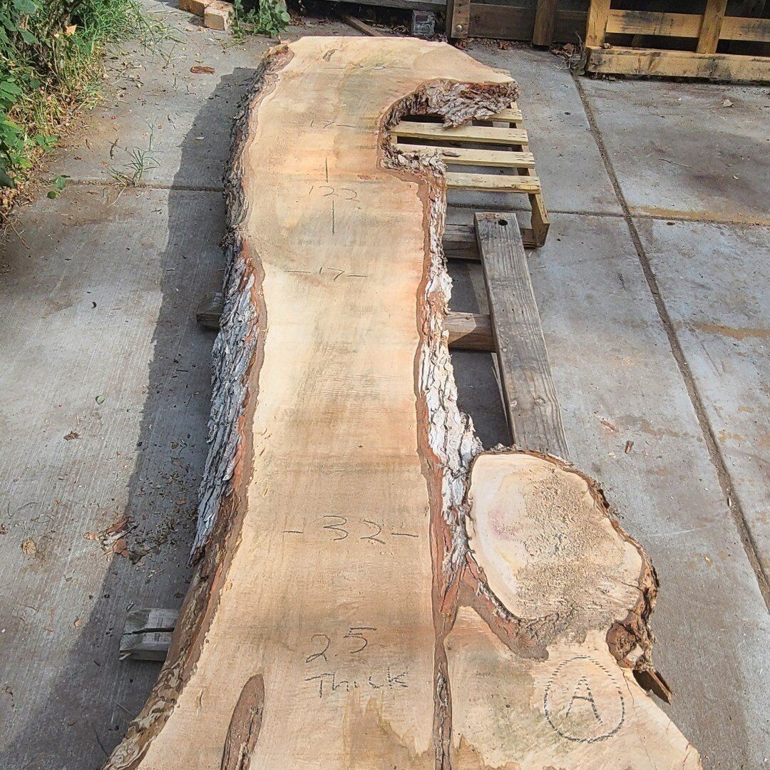 Live Edge Silver Maple Slabs, Pile 1 $10 Board Ft