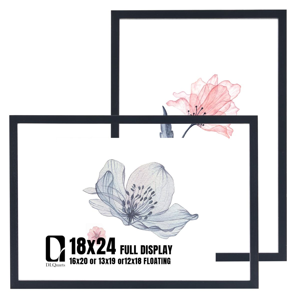 DLQuarts 18x24 Floating Picture Frames – Set of 2 – Black