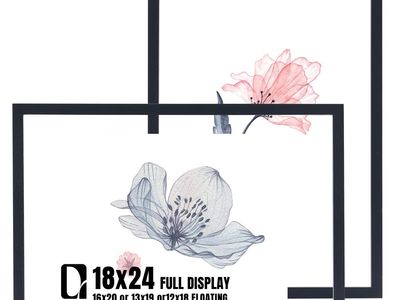 DLQuarts 18x24 Floating Picture Frames – Set of 2 – Black