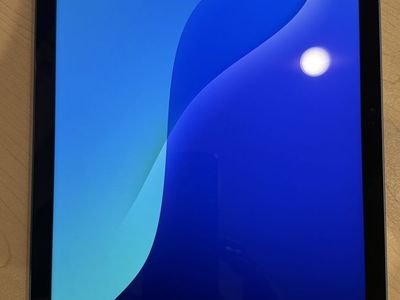 iPad 10th Gen 256GB Wi-Fi+Cellular