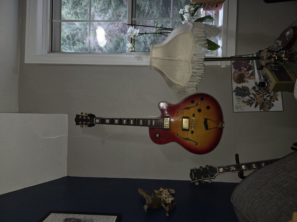 bestler hollow body guitar