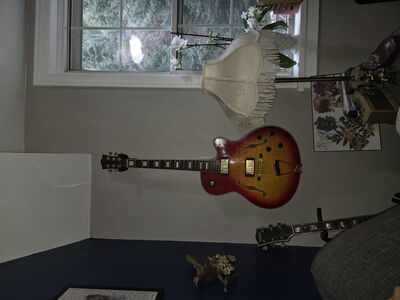 bestler hollow body guitar