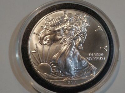 UNCIRCULATED MYSTERY MINT 2017 SILVER EAGLE COIN
