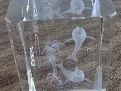 Vintage Crystal Glass Dolphin Etched Paperweight / Decor