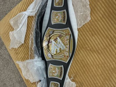 WWE authentic reproduction belt