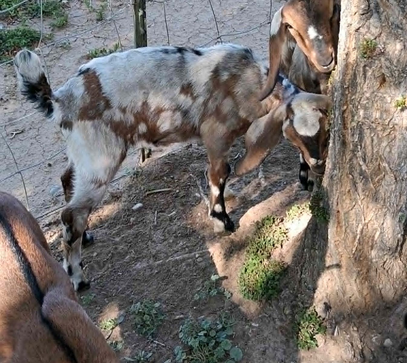 Main image 4