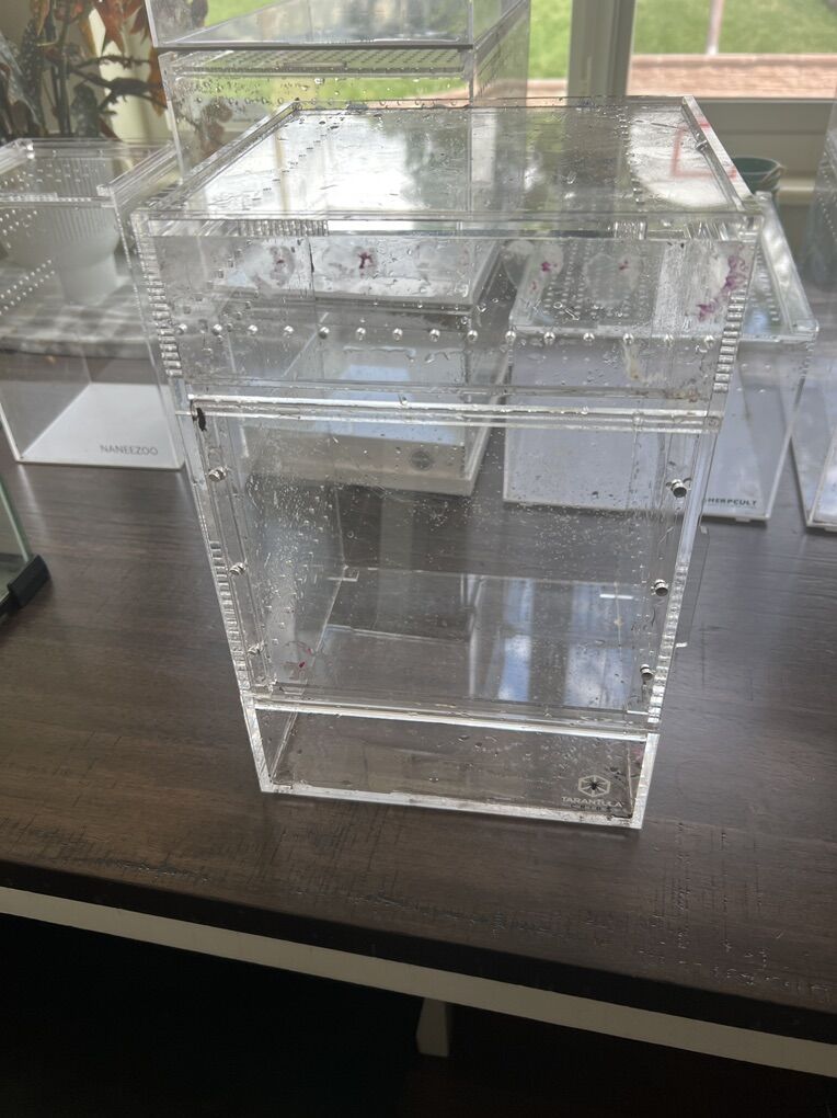 Herpcult Tarantula Cribs Naneezoo acrylic Encloser