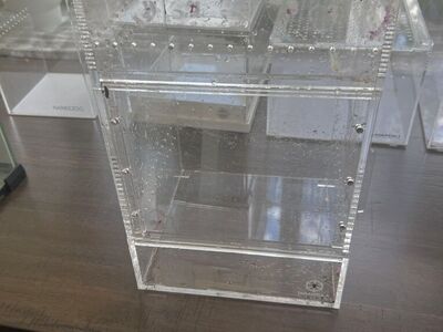 Herpcult Tarantula Cribs Naneezoo acrylic Encloser