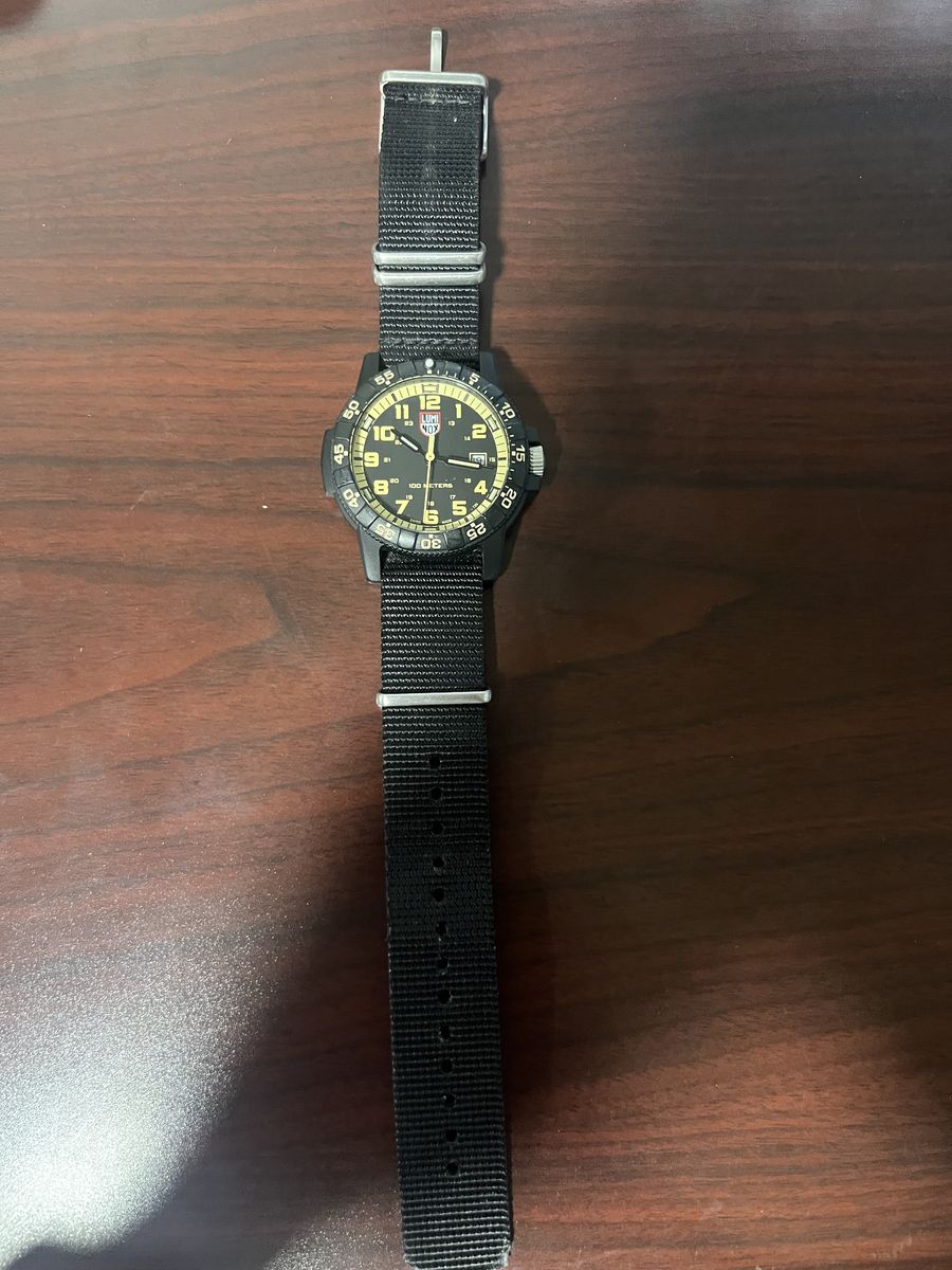 Luminox Leatherback Sea Turtle