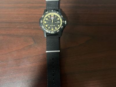 Luminox Leatherback Sea Turtle