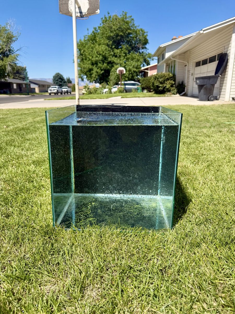 Imagitarium 14 Gallon rimless aquarium