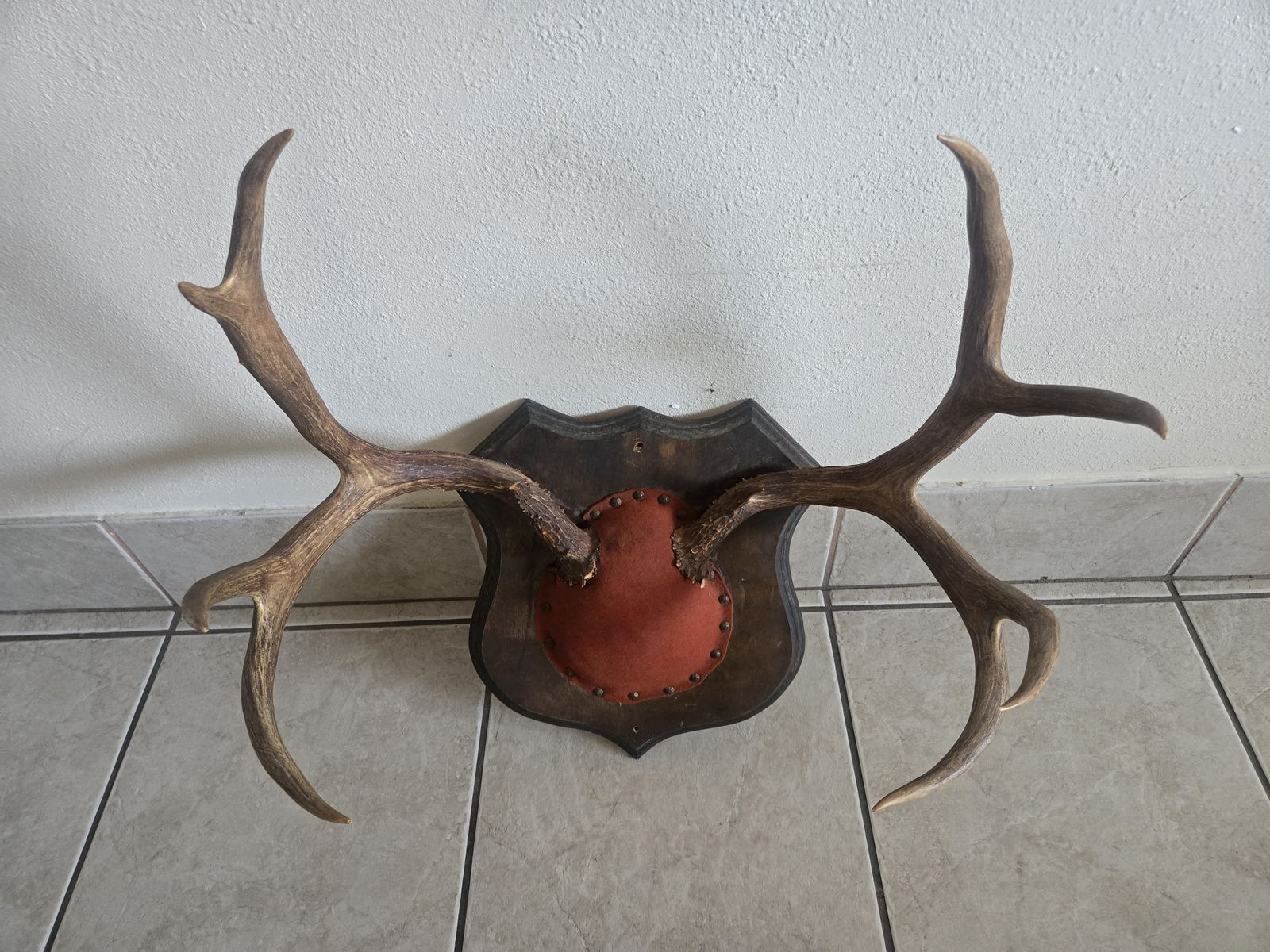 Antlers
